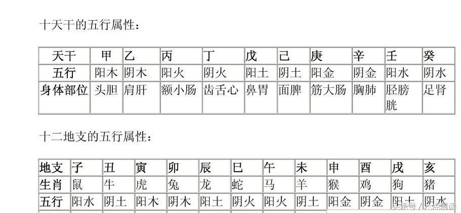 木举合一起读什么，一个木一个合读什么（五运六气论）