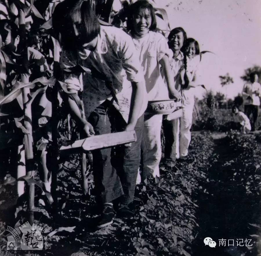 北京市昌平一中，北京昌平一中（北京昌平上学的童鞋还记得你的母校吗）