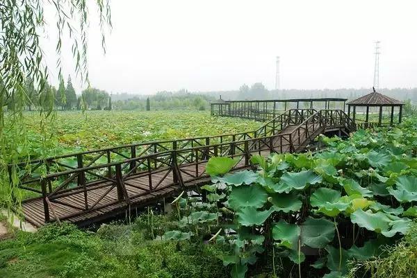 阜阳好玩的地方，安徽阜阳太和有什么好玩的（25个阜阳最好玩的景点）