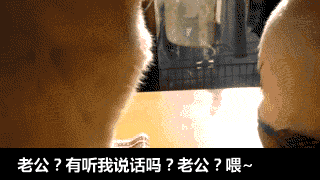 吓死1000000人的图片，吓死一亿人的图片（精选gif图：小鬼子综艺节目）