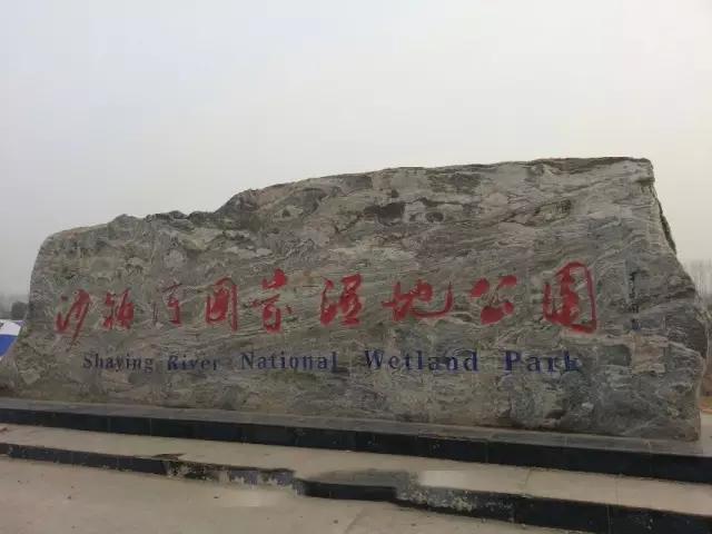 阜阳好玩的地方，安徽阜阳太和有什么好玩的（25个阜阳最好玩的景点）