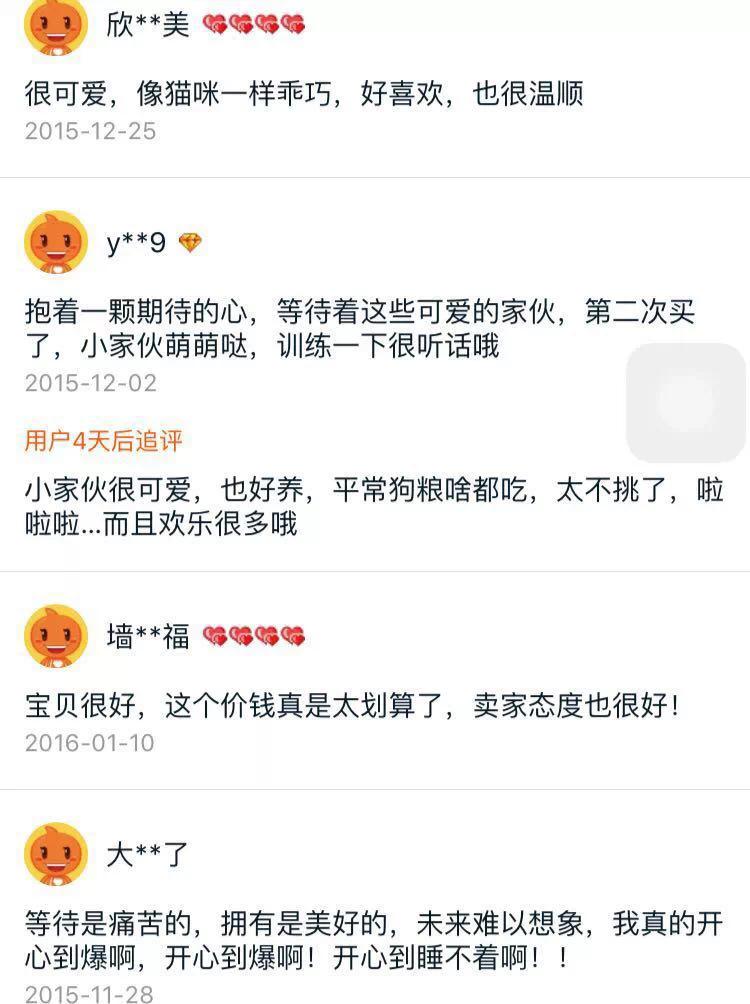 最谨慎的狐狸品种，《疯狂动物城》引爆宠物狐狸热