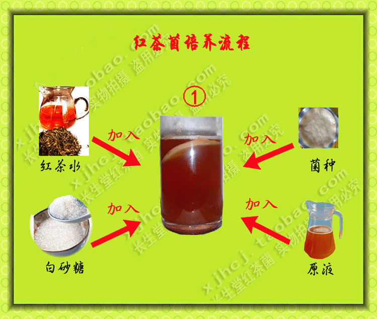 海宝菌怎么养，海宝菌怎么养殖方法（流行于上世纪七十年代的红茶菌）