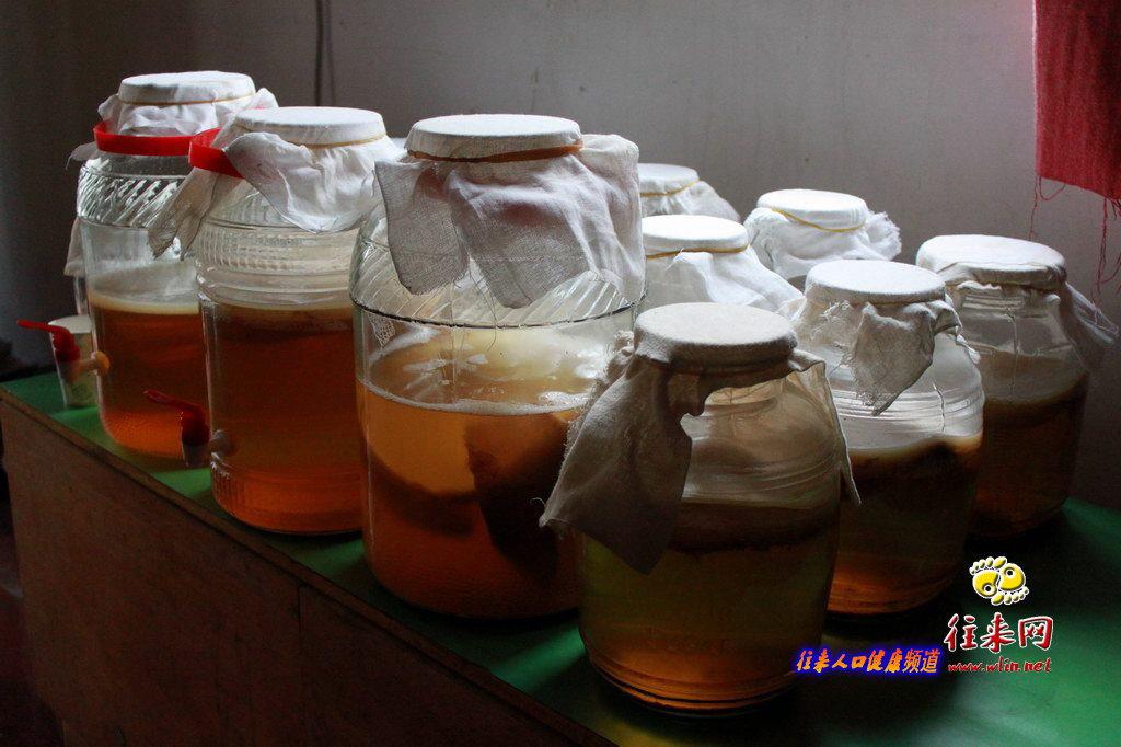 海宝菌怎么养，海宝菌怎么养殖方法（流行于上世纪七十年代的红茶菌）