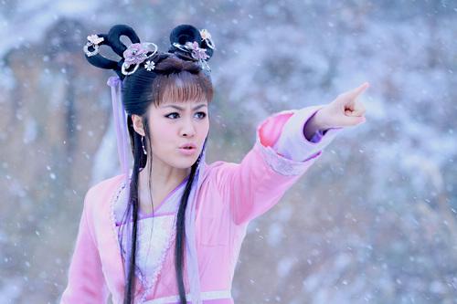 活佛济公红花告御状，活佛济公3红花告御状结局是什么（浅谈《活佛济公3》之八最）