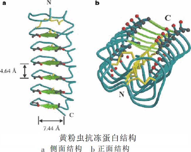 越冬是什么意思，迁徙是什么意思（揭秘昆虫越冬术）