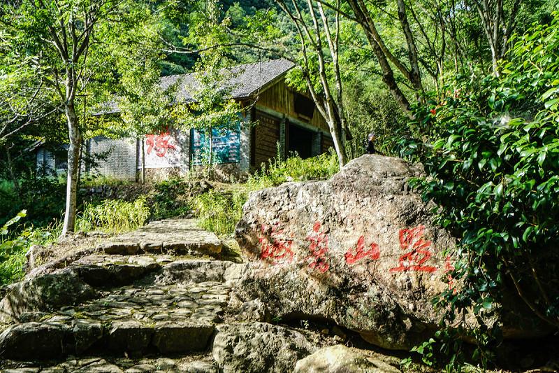 千岛湖最好的无人岛，建德离岛游，夜游新安江