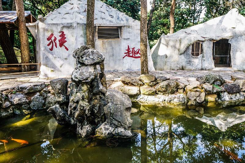 千岛湖最好的无人岛，建德离岛游，夜游新安江