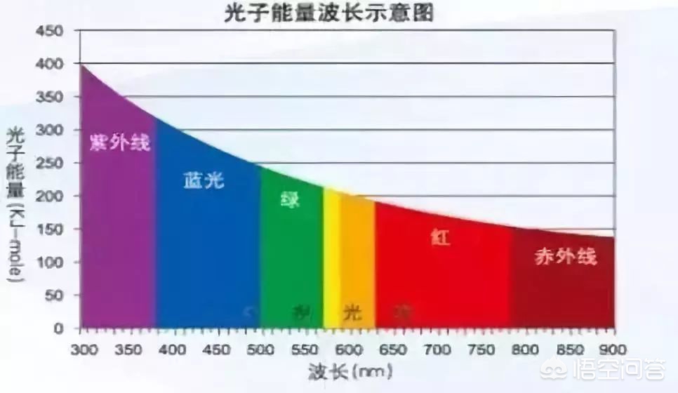 OLED屏幕有多伤眼？