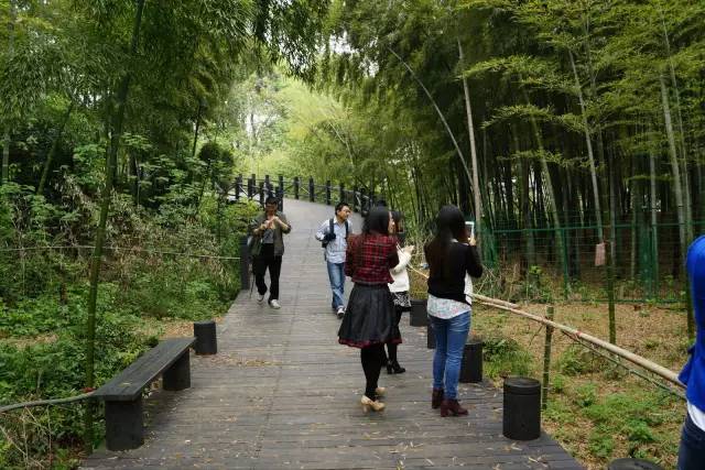 苏州蓝缨学校（苏州这些经典的徒步登山路线）