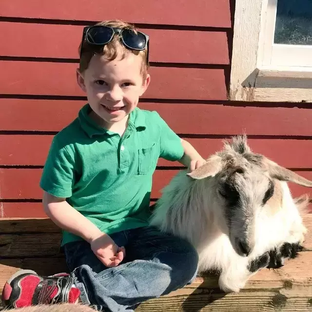 假笑女孩，微信头像，假笑女孩（这个表情包男孩以假笑出名）