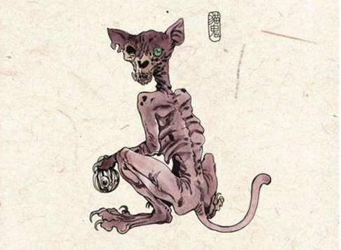 1,预测生死黑暗通灵,猫咪灵异都市传说