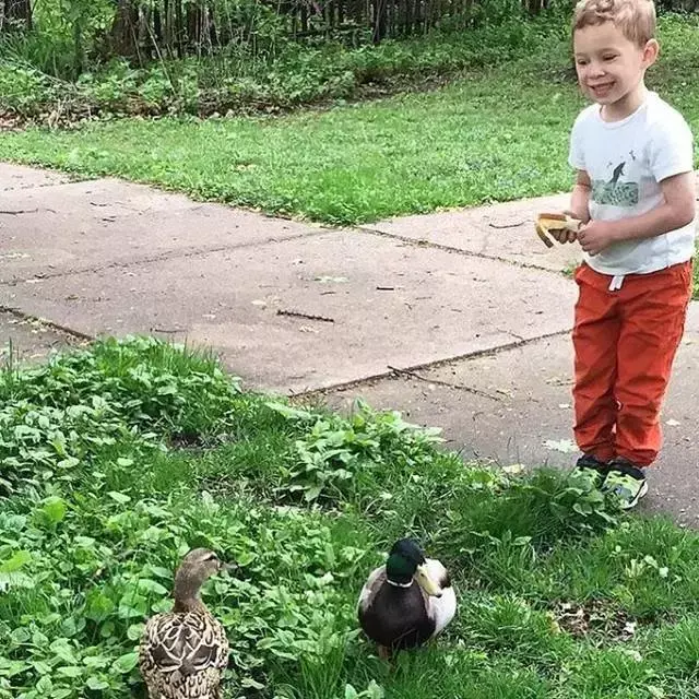 假笑女孩，微信头像，假笑女孩（这个表情包男孩以假笑出名）