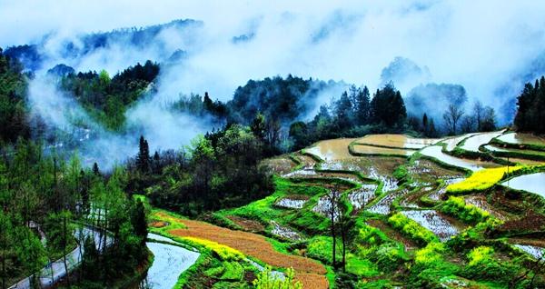 张家界到凤凰古城(凤凰古城旅游攻略景点必去)插图