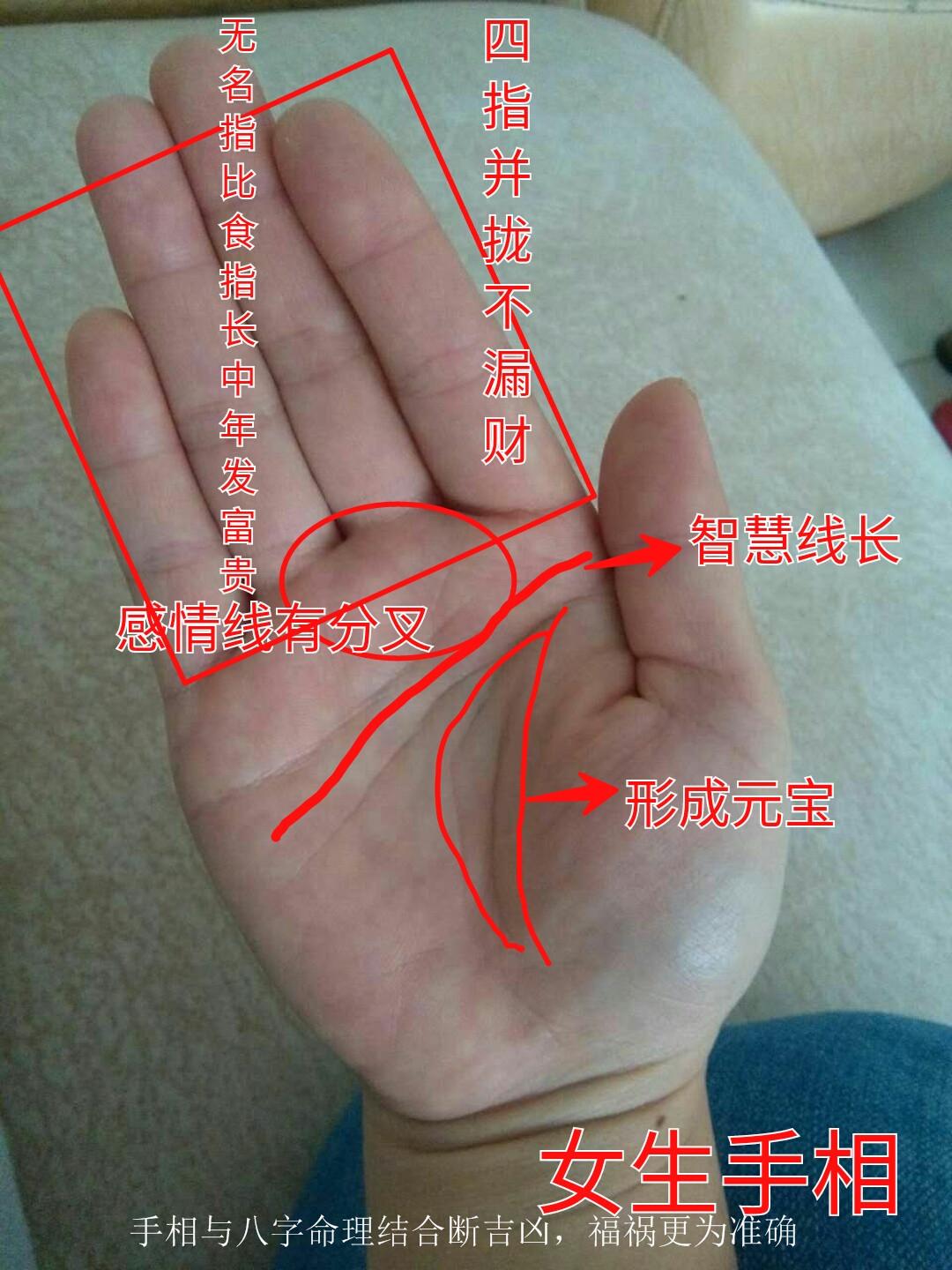 面相巽宫图片