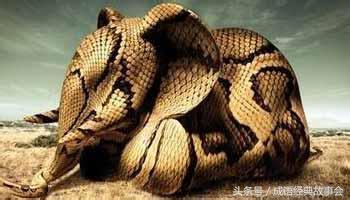 人心不足蛇吞象是什么意思（贪得无厌、自取灭亡）
