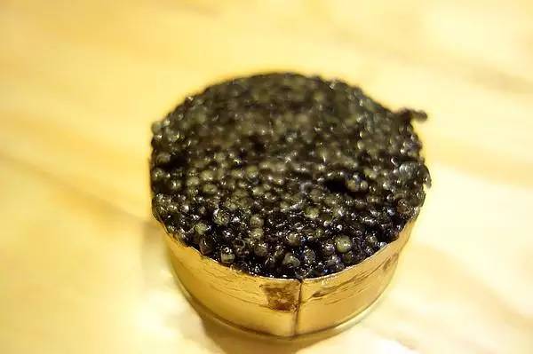 amur是什么意思，amurs（适合吃鱼子酱和说爱我。）