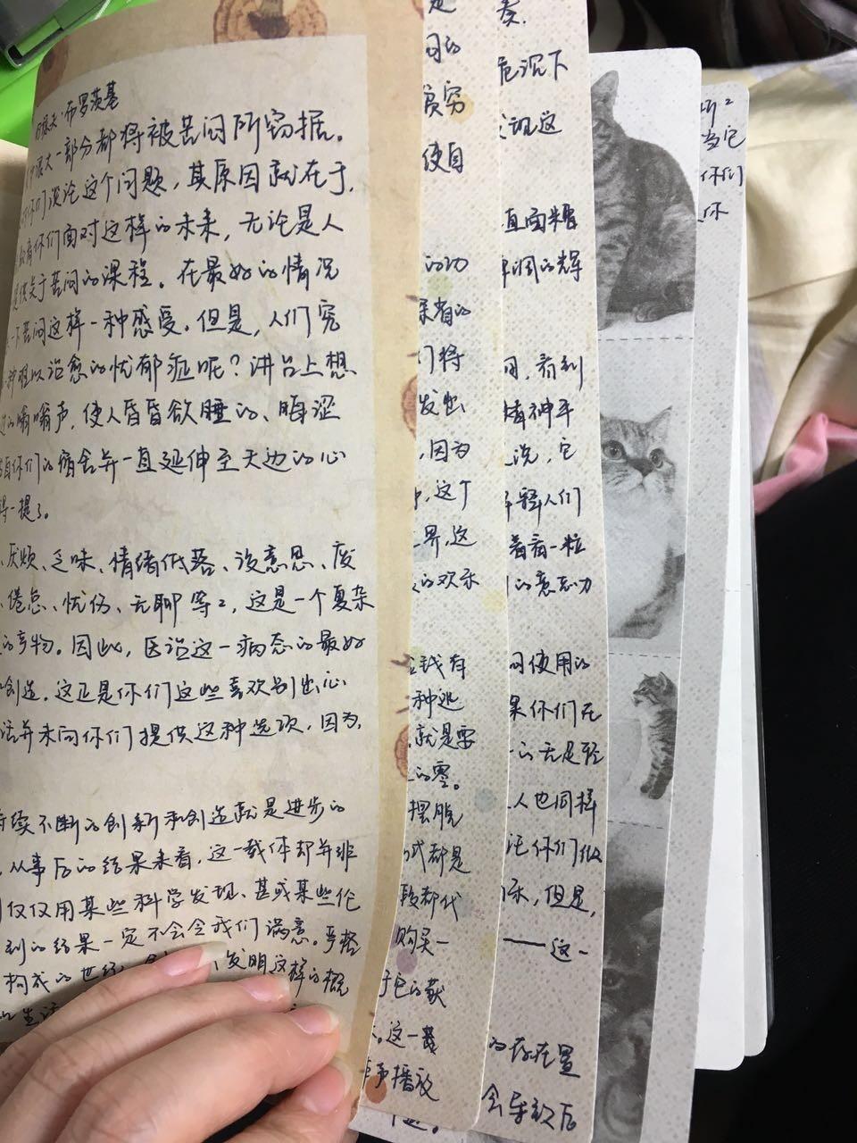 念七 可爱手帐图，微信头像，念七 可爱手帐图（最恶毒的祝福， 手帐）