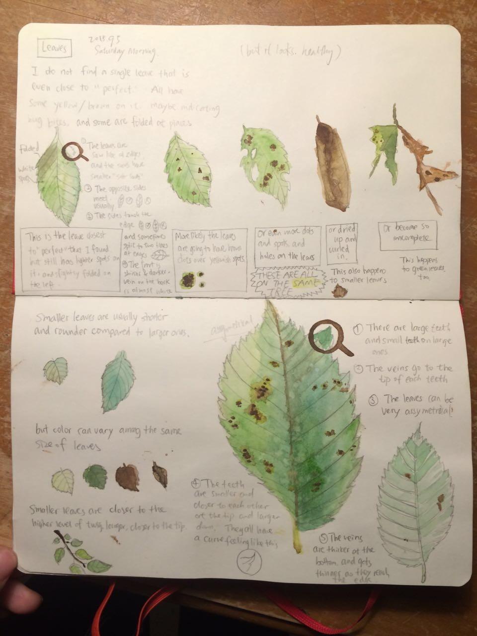 念七 可爱手帐图，微信头像，念七 可爱手帐图（最恶毒的祝福， 手帐）