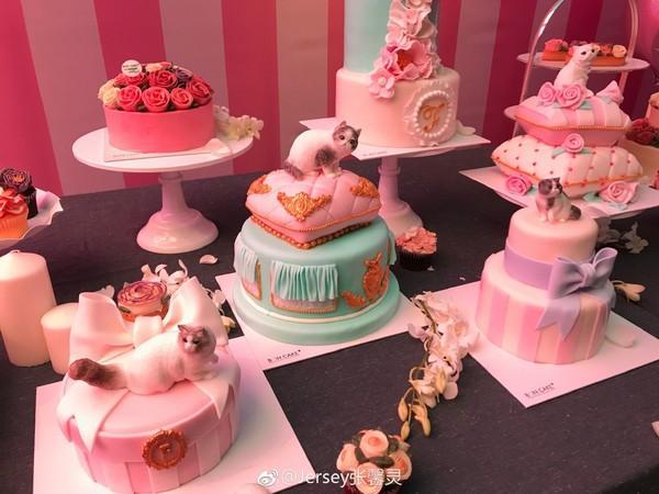 范冰冰和李晨结婚过吗，范冰冰跟李晨结婚了吗（背后的泪崩原因让粉丝终于不再催婚）