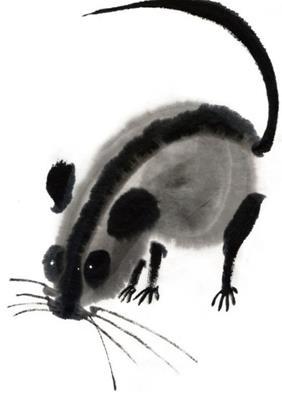 12生肖财运哪个最旺，12生肖哪个财运最好（聚财能力最强的三大生肖）