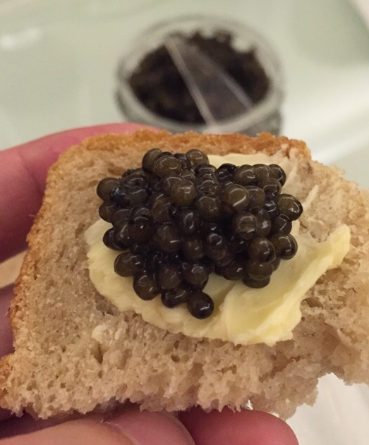 amur是什么意思，amurs（适合吃鱼子酱和说爱我。）