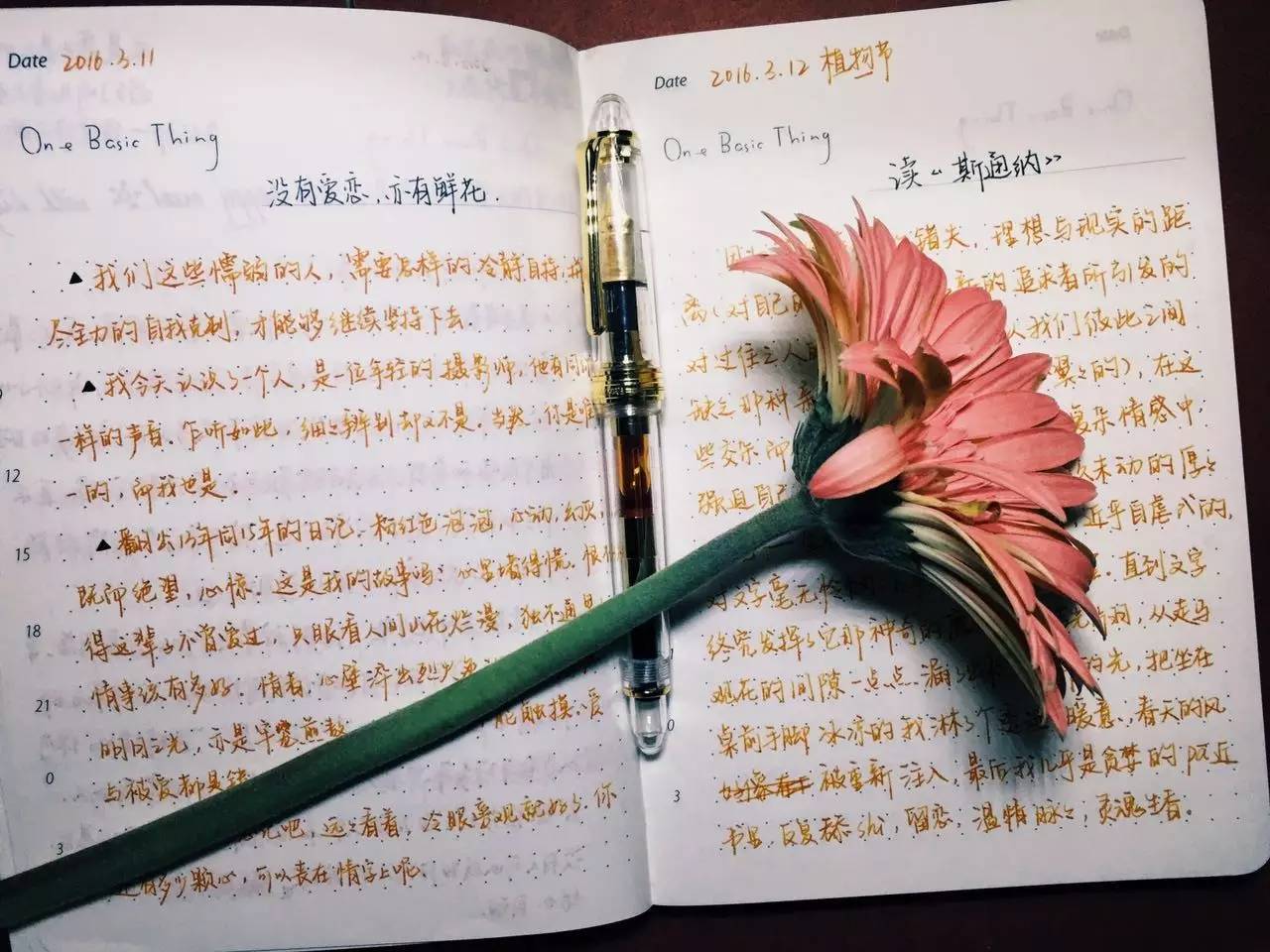 念七 可爱手帐图，微信头像，念七 可爱手帐图（最恶毒的祝福， 手帐）