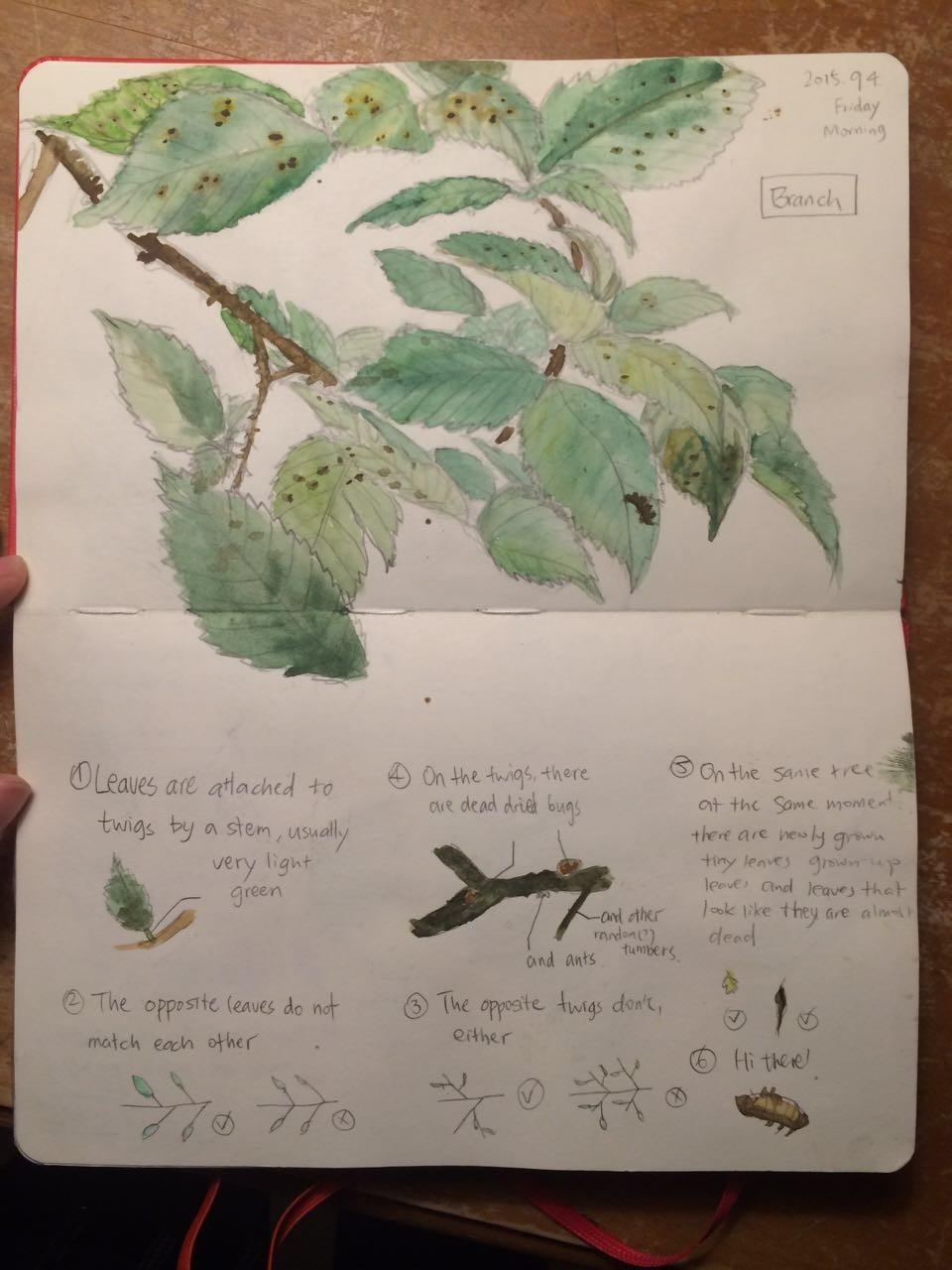 念七 可爱手帐图，微信头像，念七 可爱手帐图（最恶毒的祝福， 手帐）