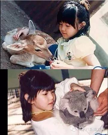 陈妍希家境超富裕，陈妍希家很有钱（她被称为“小钟楚红”）