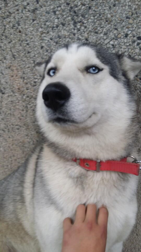 壁咚什么意思呀，壁咚是什么意思（按摩舒服死你了啊）