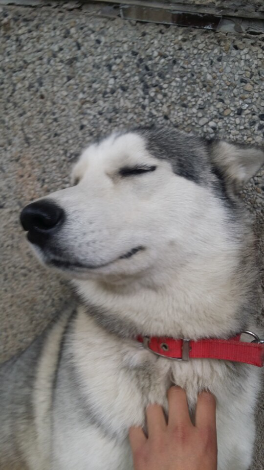 壁咚什么意思呀，壁咚是什么意思（按摩舒服死你了啊）