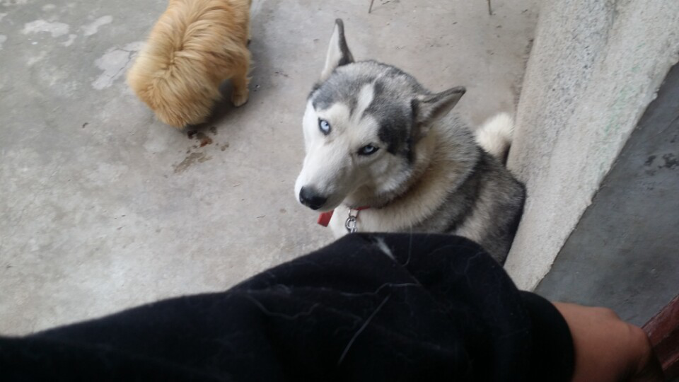 壁咚什么意思呀，壁咚是什么意思（按摩舒服死你了啊）