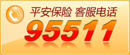 95511是哪个保险公司，9095511是哪个保险公司（95511是什么电话）