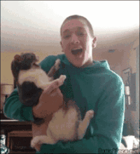 猫斗小古文翻译，猫捕鱼小古文翻译（当喵星人做这7个动作的时候）