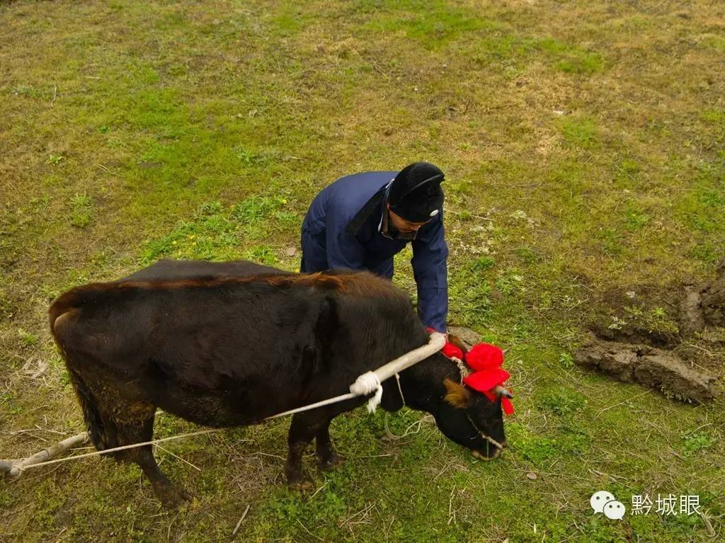 说春是石阡什么人民世代流传下来的，说春是石阡哪个民族传下来的（石阡“说春”——大唐遗风）