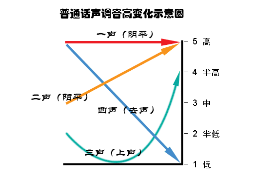 播音主持声调图图片