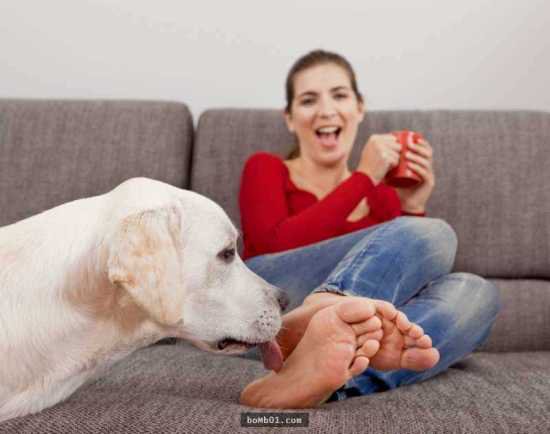 狗为什么那么爱舔主人的脚?兽医师分析重要心理原因