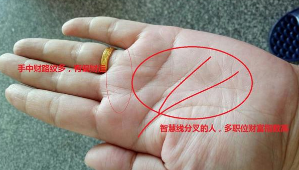 怎么看手相？图文解说，3分钟教你学会看手相！