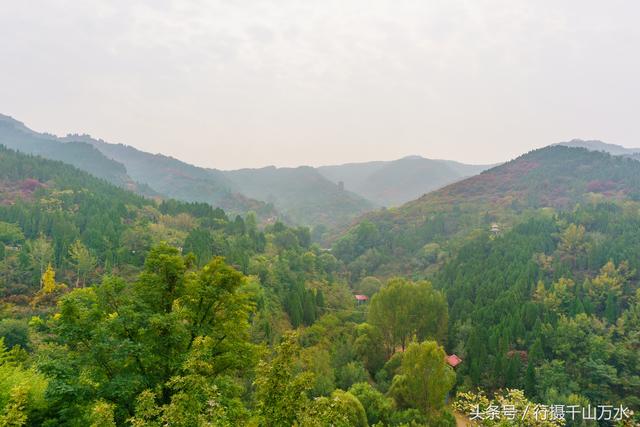 济南红叶谷赏红叶一日游攻略