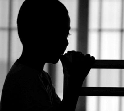 啮齿的读音和解释，啮的读音是什么（草原田鼠也许是最感性的生物）