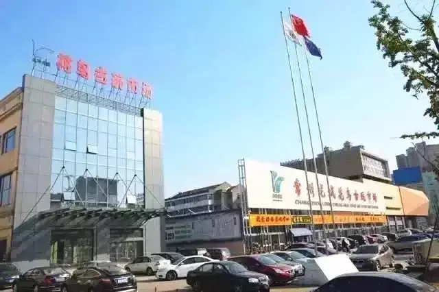 常州哪有宠物狗卖的多的地方啊（常州宠物市场最热门的宠物狗品种）