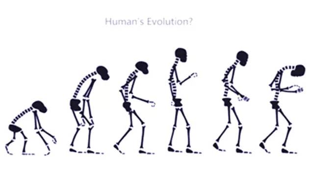  a4腰是什么意思，a4腰什么意思