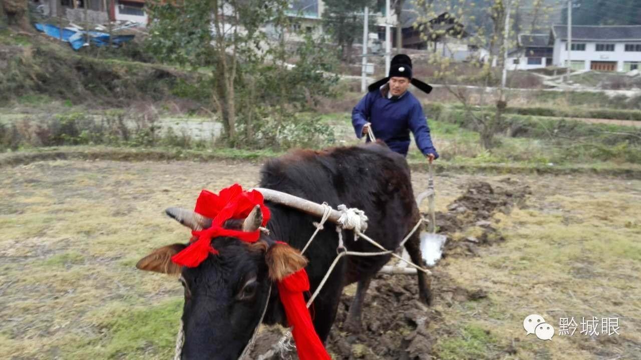 说春是石阡什么人民世代流传下来的，说春是石阡哪个民族传下来的（石阡“说春”——大唐遗风）