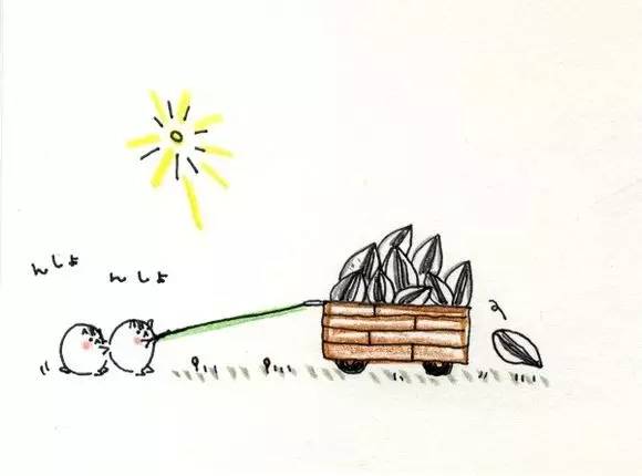 简笔画仓鼠教程，小仓鼠简笔画教程（让这群清新的仓鼠插画帮你扫去不快吧）