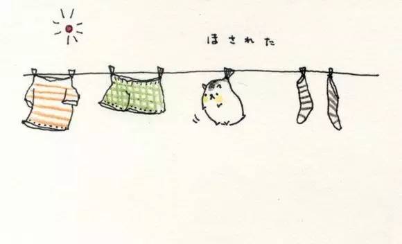 简笔画仓鼠教程，小仓鼠简笔画教程（让这群清新的仓鼠插画帮你扫去不快吧）