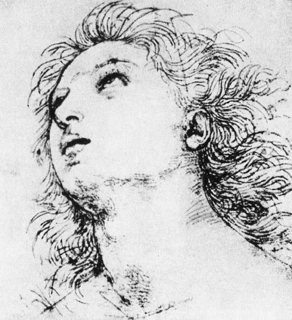 文艺复兴美术三杰，美术文艺复兴三杰是哪三位（文艺复兴三杰之拉斐尔作品全集）