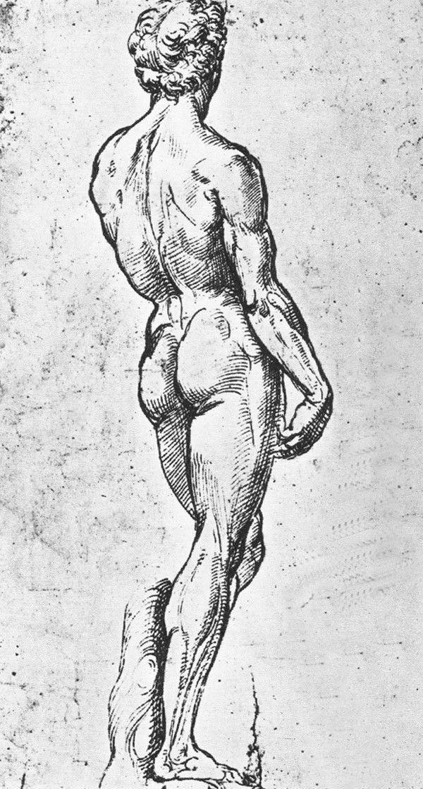 文艺复兴美术三杰，美术文艺复兴三杰是哪三位（文艺复兴三杰之拉斐尔作品全集）