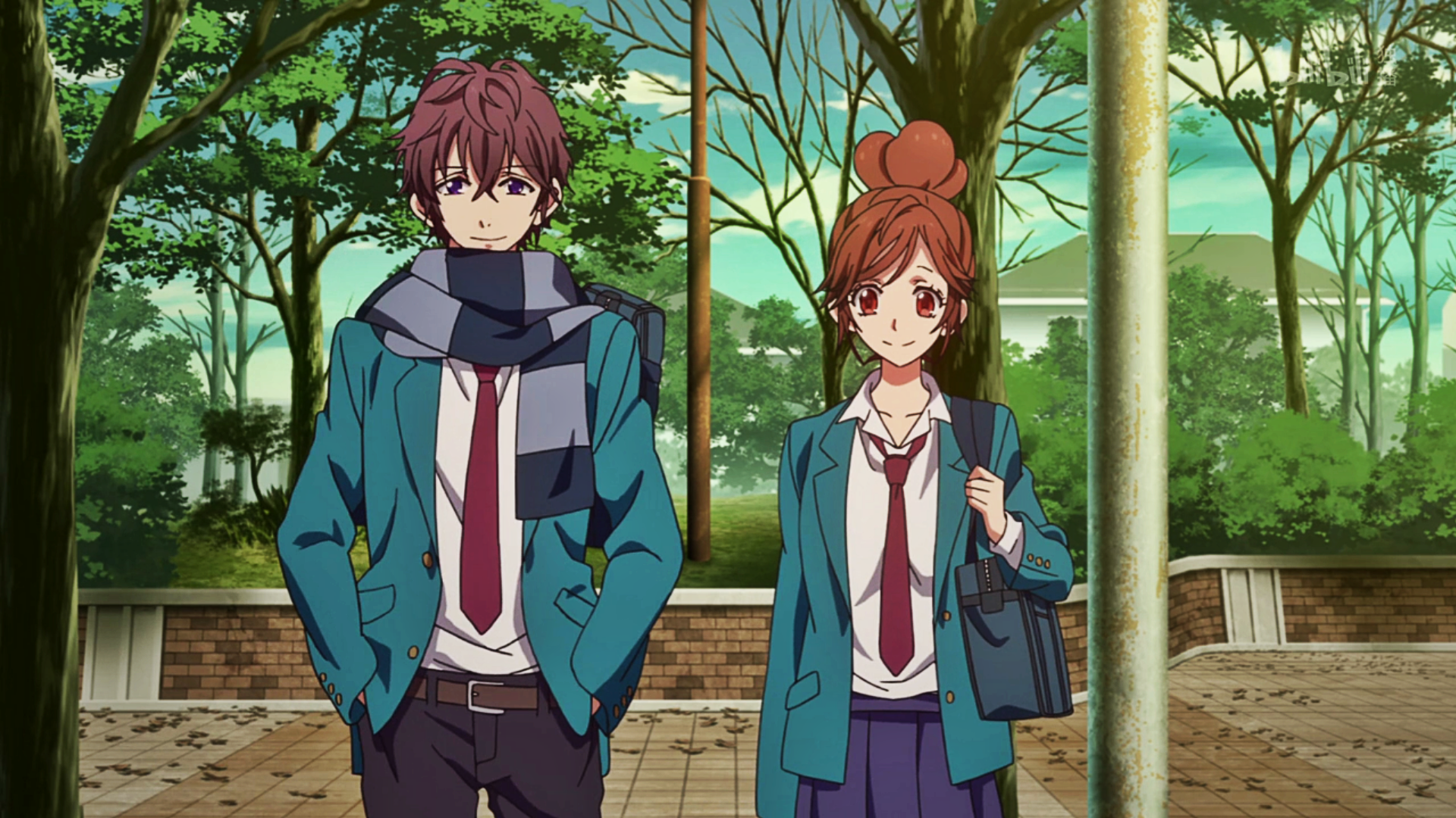 双十一狗粮特荐|令人窒息的表白操作,花式告白番超虐