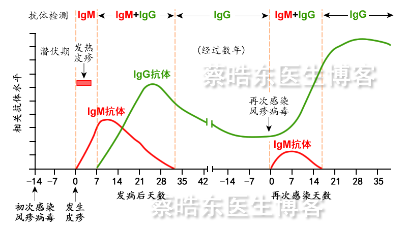 巨细胞病毒抗体和风疹病毒抗体阳性(风疹病毒抗体阳性怎么治疗)