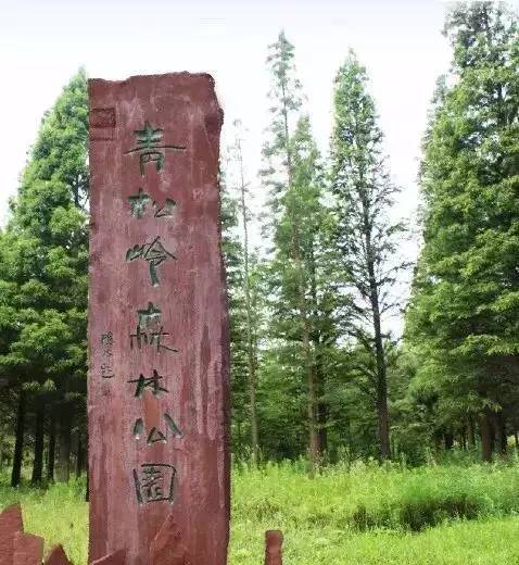 连云港有什么地方好玩，连云港有什么地方好玩儿（好好去洗洗肺吧~）